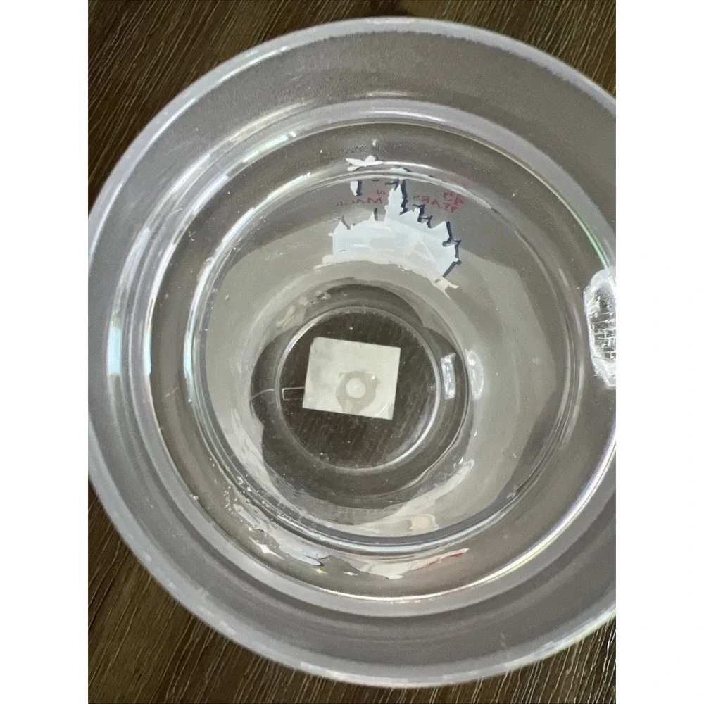 Disneyland Thermo-Serv Plastic Mug / Stein Souvenir 
